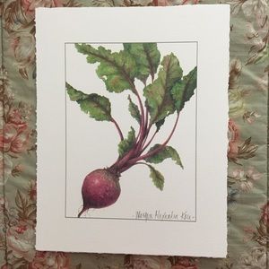 Botanical illustration of a beet